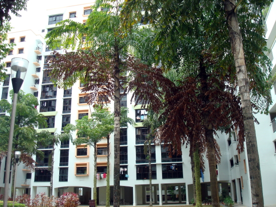 Blk 522 Fragrant Woods (Woodlands), HDB 4 Rooms #359202